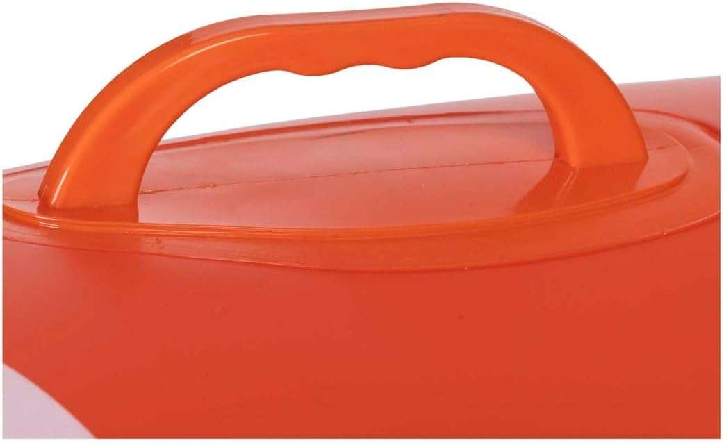 Cartoon Fish Floatie